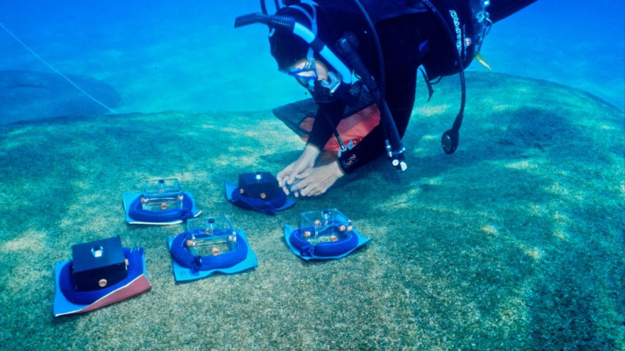 Underwater